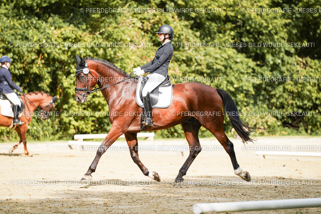 DSC02311 | Pferdegrafie