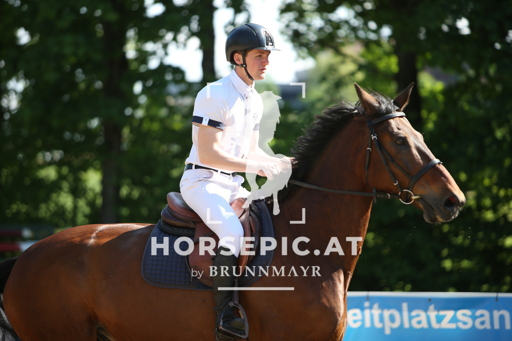 PP010384 | Willkommen bei Brunnmayr - Design & Fotografie – Ihrem Spezialisten für Reitturniere und Pferdeveranstaltungen in Oberösterreich, Salzburg und Bayern! Seit über 17 Jahren sind wir leidenschaftlich dabei.