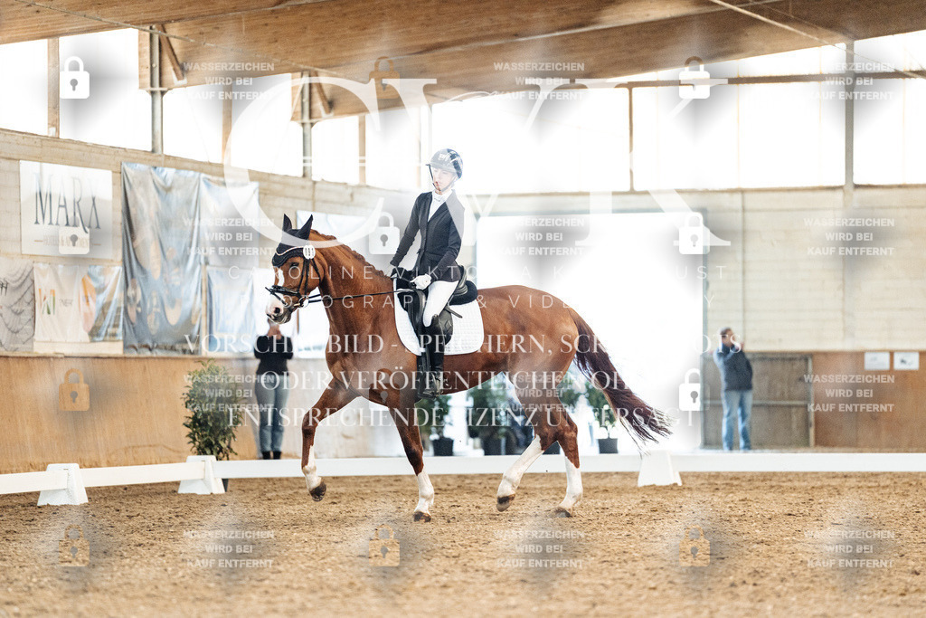 CK909030 | Turnierfotografie Pferdefotografie Trier Rheinland-Pfalz Pferdesport Reitsport Tierfotografie Sportfotografie Pferdevideo Pferdevideografie Equestrianvideography equestrianphotography  - Realisiert mit Pictrs.com