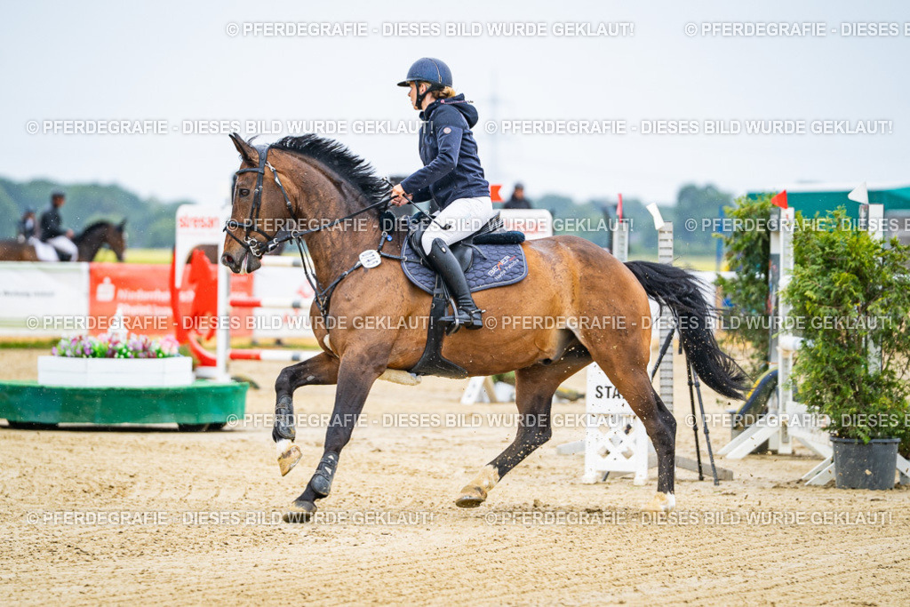 DSC08799 | Pferdegrafie