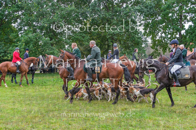 Jagd Perdoel_MarinaHewigDSCF3406 | Fotografie, FotoArt, PferdesportArt, Pferdesportfotografie, Landschaftsfotografie, Reisefotografie, Reise, Pferde - Realisiert mit Pictrs.com