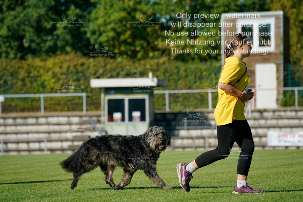 Samstag_Gehorsam_V2 (61) | stephaniefillaphotographie - Realisiert mit Pictrs.com