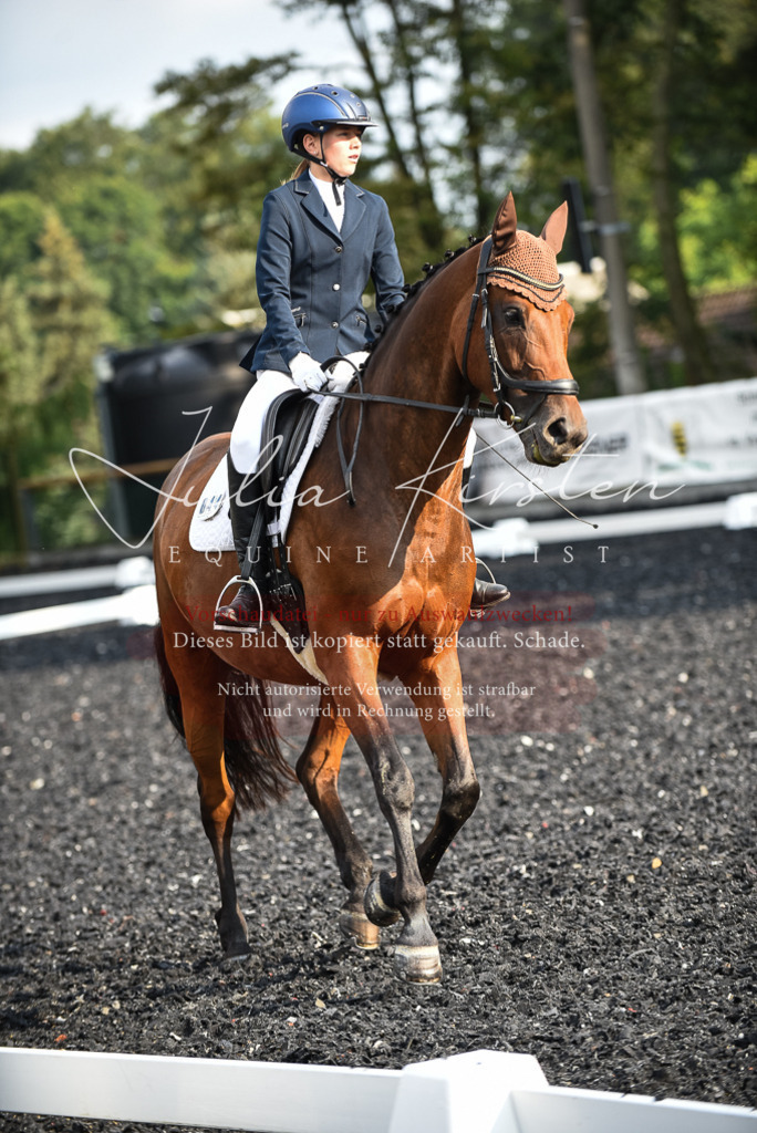 DSC_3376 | Pferde- und Turnierfotografie in Westsachsen. Pferdeportraits, Auftragszeichnungen und intuitive Kunst.
