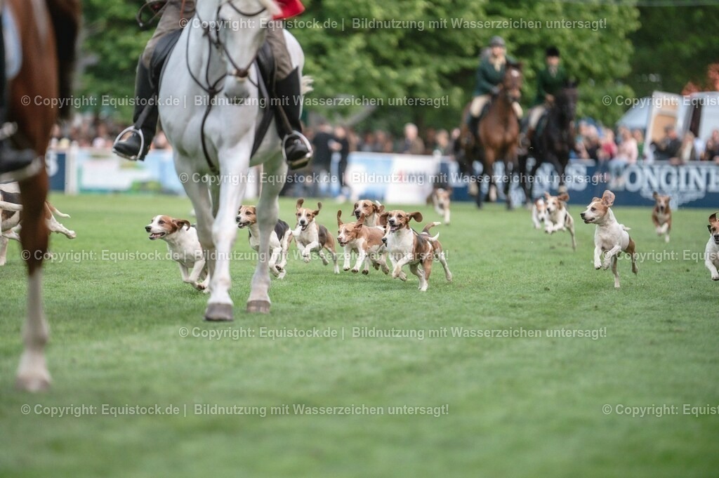 20230526_Pferdenacht_0527 | equistock