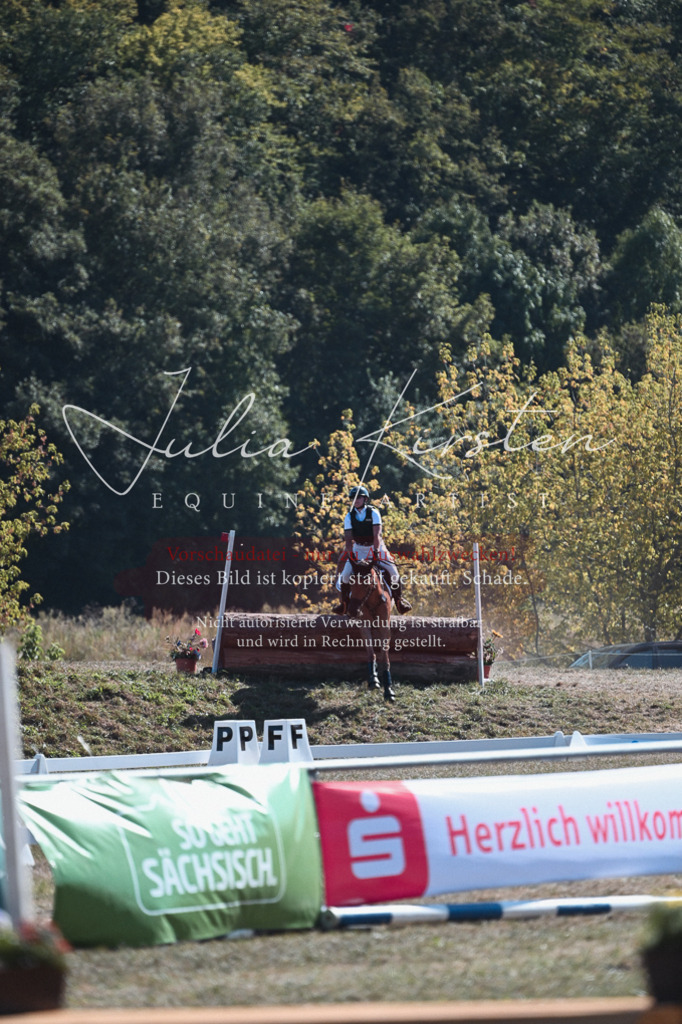 DSC_8637 | Pferde- und Turnierfotografie in Westsachsen. Pferdeportraits, Auftragszeichnungen und intuitive Kunst.