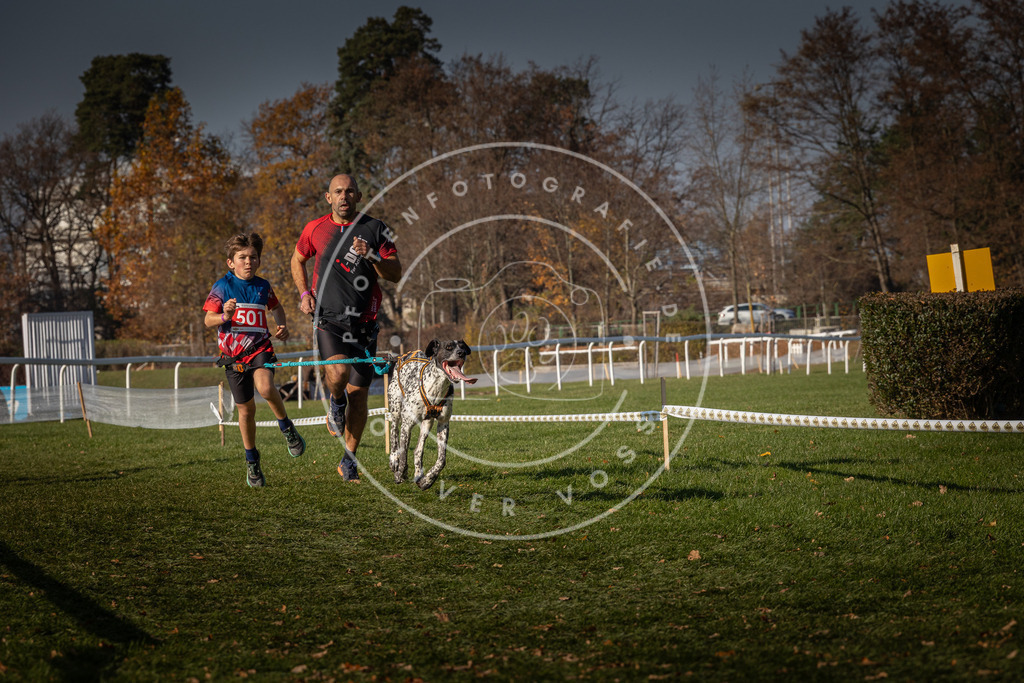 CaniXpix_0L8A8222 | Hundefotografie, Tierfotograf, Pfotenfotografie, Fotoshooting Hund, Hunde Portrait, Hundesport, Hundeportraits, Heideshooting, Hunde, Sportfotograf, Hundefotograf, Turnierhundsport, THS,  - Realisiert mit Pictrs.com
