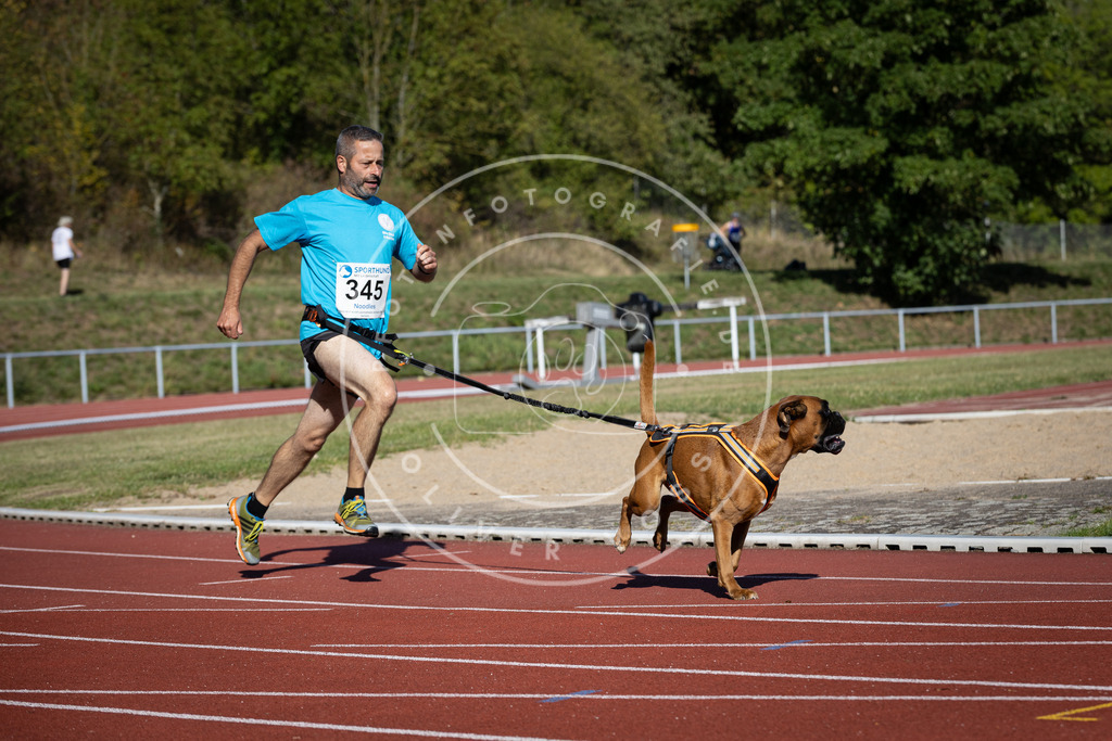 Pfotenfotografie_DV3A8380 | Hundefotografie, Tierfotograf, Pfotenfotografie, Fotoshooting Hund, Hunde Portrait, Hundesport, Hundeportraits, Heideshooting, Hunde, Sportfotograf, Hundefotograf, Turnierhundsport, THS,  - Realisiert mit Pictrs.com