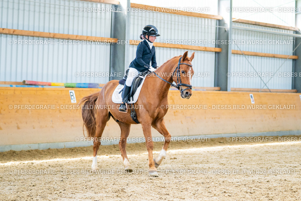 DSC08384 | Pferdegrafie