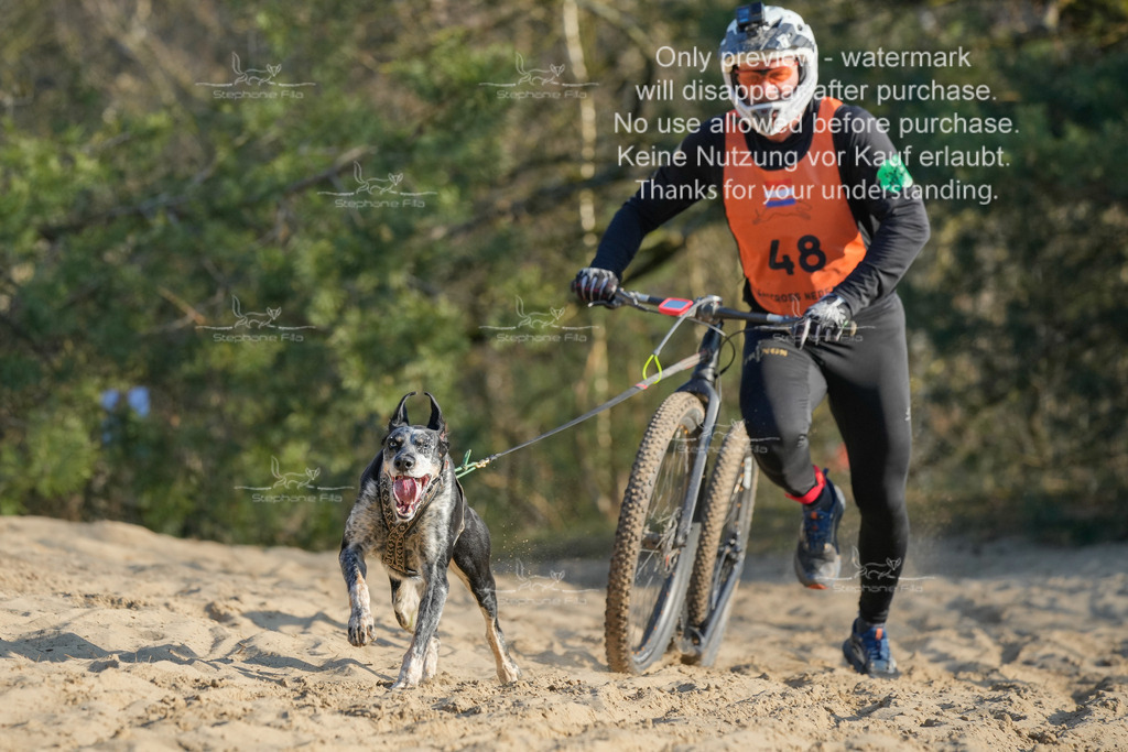 So_Scooter-299 | stephaniefillaphotographie - Realisiert mit Pictrs.com