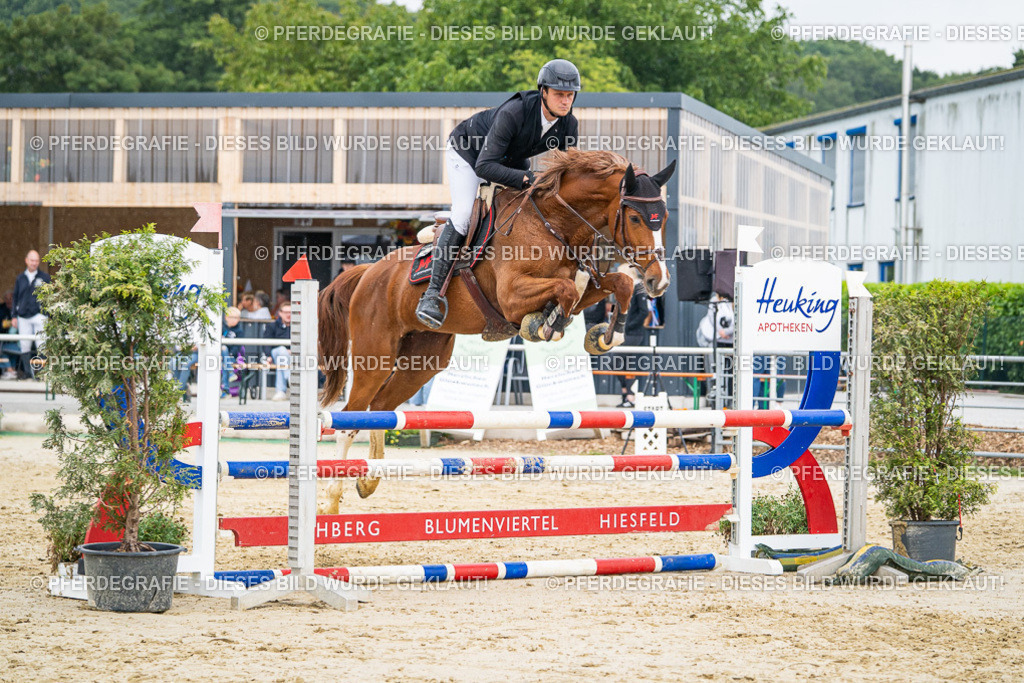 DSC00667 | Pferdegrafie