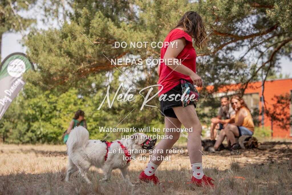 nelerasche_soDD2_397 | nelerasche