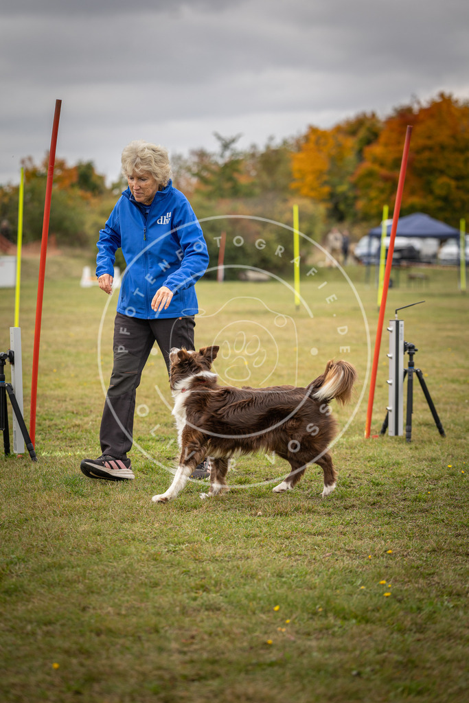 Pfotenfotografie_DV3A6047 | Hundefotografie, Tierfotograf, Pfotenfotografie, Fotoshooting Hund, Hunde Portrait, Hundesport, Hundeportraits, Heideshooting, Hunde, Sportfotograf, Hundefotograf, Turnierhundsport, THS,  - Realisiert mit Pictrs.com