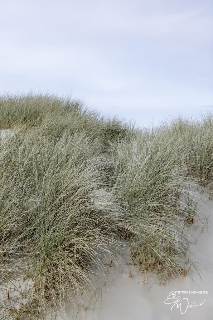 20240505-185042 NORDSEE SPO _091-1 | Herzlich willkommen auf meiner Seite! Ich bin Elke Wallnisch, Deine Fotografin für lichtstarke Momente. Der Name steht für alles, was mich mit der Fotografie verbindet: Das Licht und seine machtvolle Wirkung auf eine Situation oder unsere Stimmung - Realisiert mit Pictrs.com