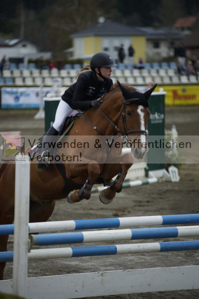 _DSC7905 | equestrian-live-com