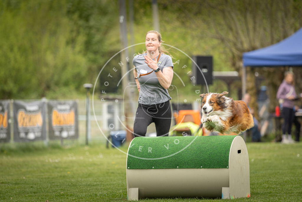 Pfotenfotografie_DV3A1037 | Hundefotografie, Tierfotograf, Pfotenfotografie, Fotoshooting Hund, Hunde Portrait, Hundesport, Hundeportraits, Heideshooting, Hunde, Sportfotograf, Hundefotograf, Turnierhundsport, THS,  - Realisiert mit Pictrs.com