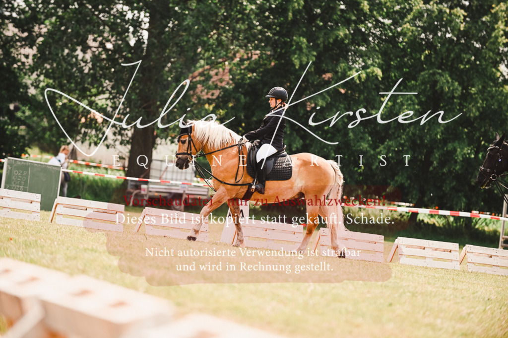 DSC_6327 | Pferde- und Turnierfotografie in Westsachsen. Pferdeportraits, Auftragszeichnungen und intuitive Kunst.