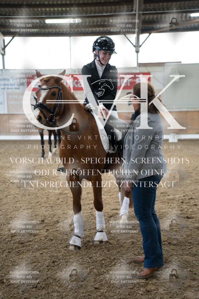 CK703049 | Turnierfotografie Pferdefotografie Trier Rheinland-Pfalz Pferdesport Reitsport Tierfotografie Sportfotografie Pferdevideo Pferdevideografie Equestrianvideography equestrianphotography  - Realisiert mit Pictrs.com