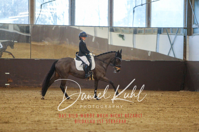 IMG_8244 | Turniersportfotografie; Pferdefotografie; Dressurfotografie