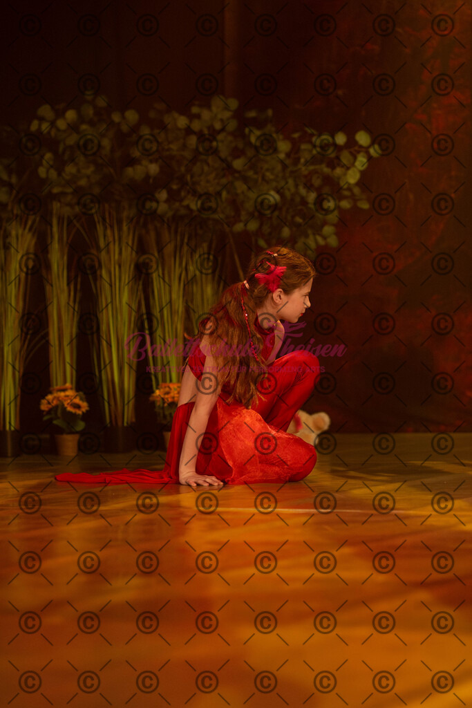Ballettaufführung-1353 | Bildershop Lem'n Entertainment - Realisiert mit Pictrs.com