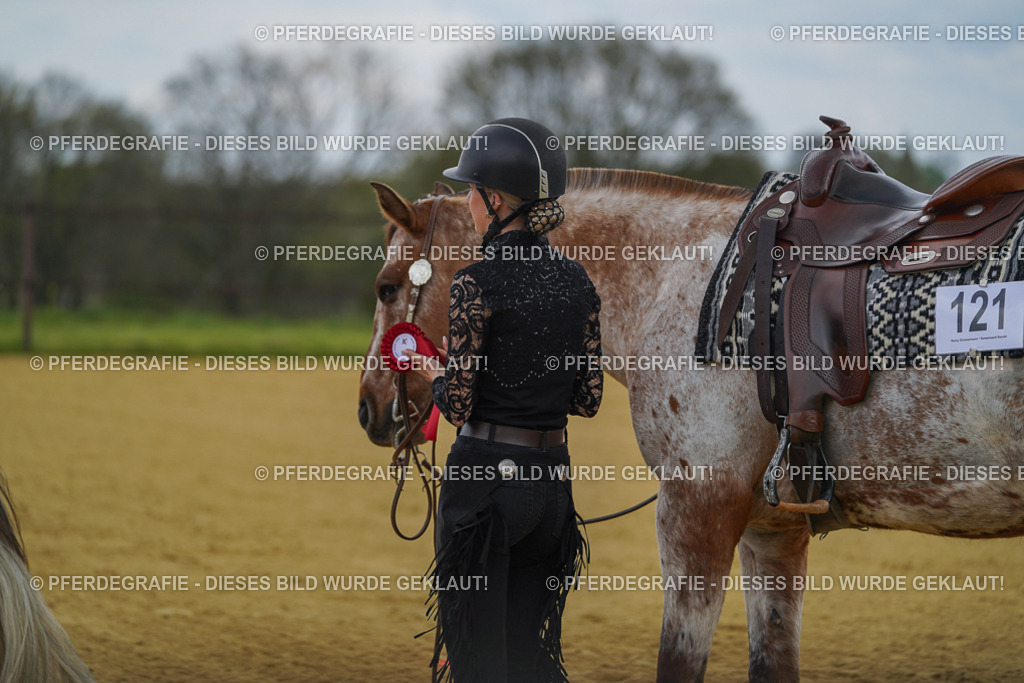 DSC05807 | Pferdegrafie