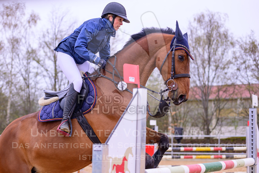 12042026-Mammendorf-Prfg42-0050 | Fokus Hufschlag Fotografie - Realisiert mit Pictrs.com