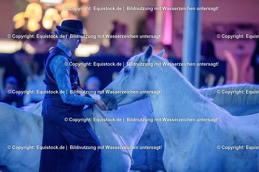 20250606_Lange-Pferdenacht_1064 | Foto: Thomas Hartig