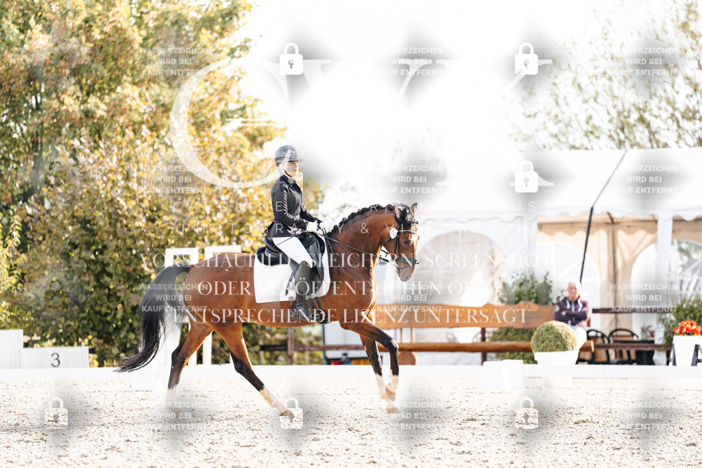 CK900929 | Turnierfotografie Pferdefotografie Trier Rheinland-Pfalz Pferdesport Reitsport Tierfotografie Sportfotografie Pferdevideo Pferdevideografie Equestrianvideography equestrianphotography  - Realisiert mit Pictrs.com
