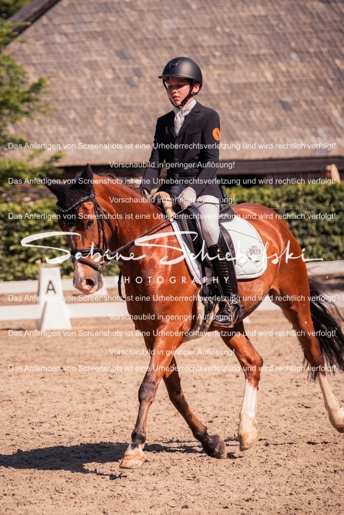 2025_05_31_DSCF3086 | People- und Tierfotografie, Imageaufnahmen, Veranstaltungsfotografie und Wandbilder aus der Natur ★ Made in Germany ✔️ Druck + Downloads ✔️ Naturfotografie in Top Qualität ★ schneller Versand, weltweite Lieferung! - Realisiert mit Pictrs.com