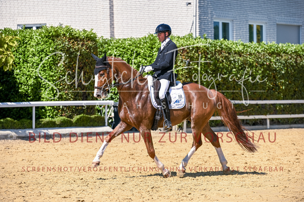 Schugtsche-Aluta25-50.Dressurpferdeprf.L-1 | Schugtsche Fotografie - Realisiert mit Pictrs.com