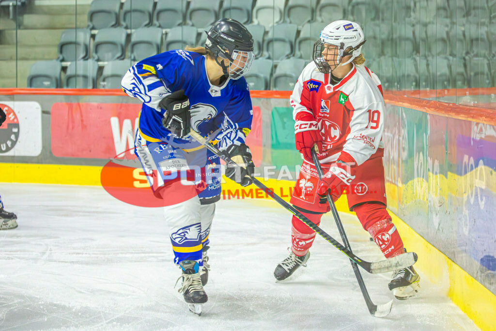 Eishockey DEBL 2023/24 | Eishockey DEBL 2023/24, KAC Frauen - Villach Lady Hawks am 27.09.2023 in Klagenfurt (Heidi Horten Arena), Austria, (Photo by Ernst Krawagner sport-fan.at) - Realisiert mit Pictrs.com