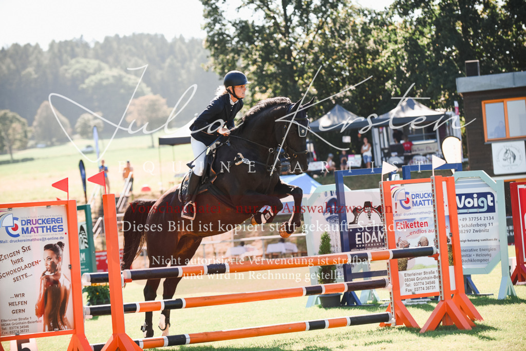 DSC_2551 | Pferde- und Turnierfotografie in Westsachsen. Pferdeportraits, Auftragszeichnungen und intuitive Kunst.