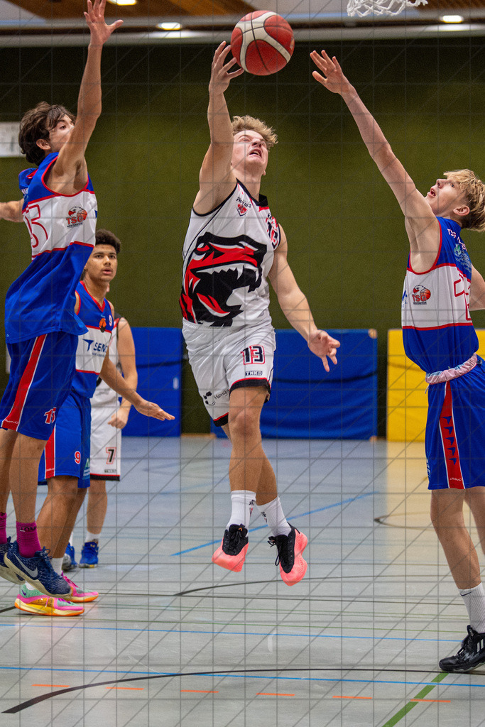 2. RL West | 05.10.2024 | Bad Essen vs. TSG Westerstede 2 | 2. RL West | 05.10.2024 | Bad Essen vs. TSG Westerstede 2 - - - - - CREDIT, www.bullenfotos.de, Martin König, Hörner Weg 40, D-49078 Osnabrück, +4917663732967, Nutzung und Weitergabe nur zu den vereinbarten Zwecken. Presseanfragen an Ersteller. Alle Rechte beim Ersteller. - - - - - - Realisiert mit Pictrs.com