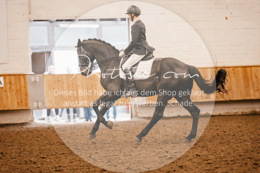3I6A3112 | Stimmungsvolle Portraits und Reitsportfotografie im Ruhrgebiet und im Münsterland.

Pferdefotografie, Hundefotografie, Tierfotografie, Reportagen, Portraits von Tier und Mensch, Turnierfotografie in Bochum, Recklinghausen, Marl, Haltern am See, Dülmen.. - Realisiert mit Pictrs.com