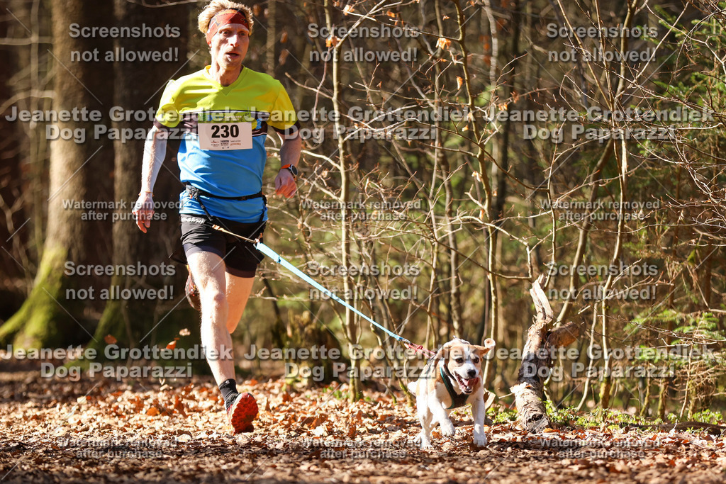 Dog Paparazzi - VCC26-1106 | Dog Paparazzi Jeanette Grottendiek Fotografie & Videografie - Realisiert mit Pictrs.com
