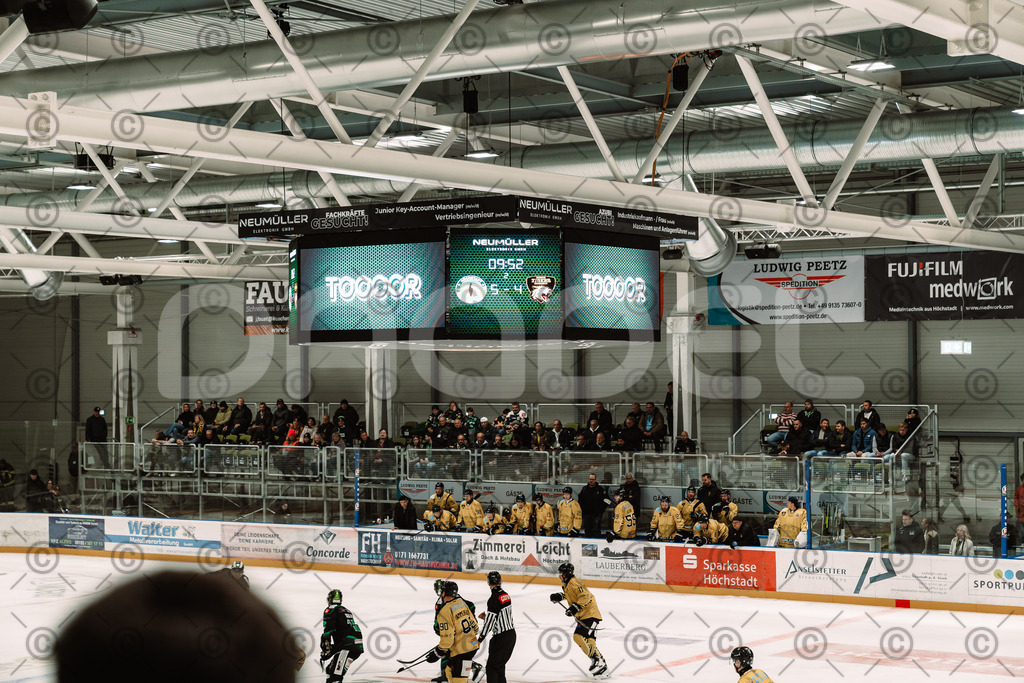 Alligators_vs_Bayreuth_10_2025-73 | Höchstadt Alligators Fotogalerie: Eishockey-Action aus Franken. Professionelle Spielfotos, Portraits & Stadionbilder zum Download. Jetzt entdecken! - Realisiert mit Pictrs.com