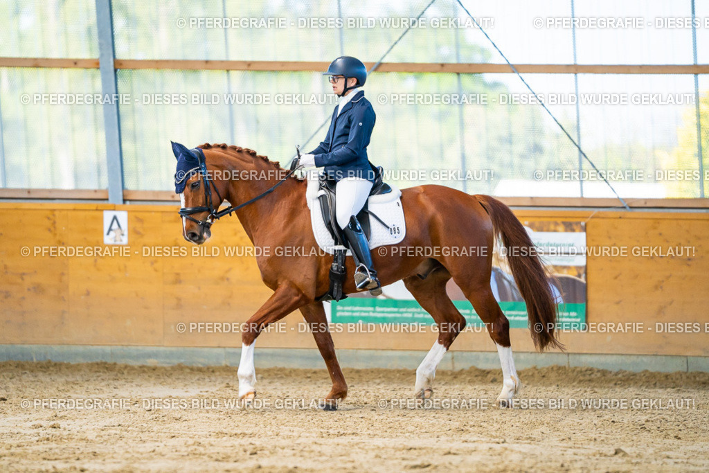 DSC06424 | Pferdegrafie