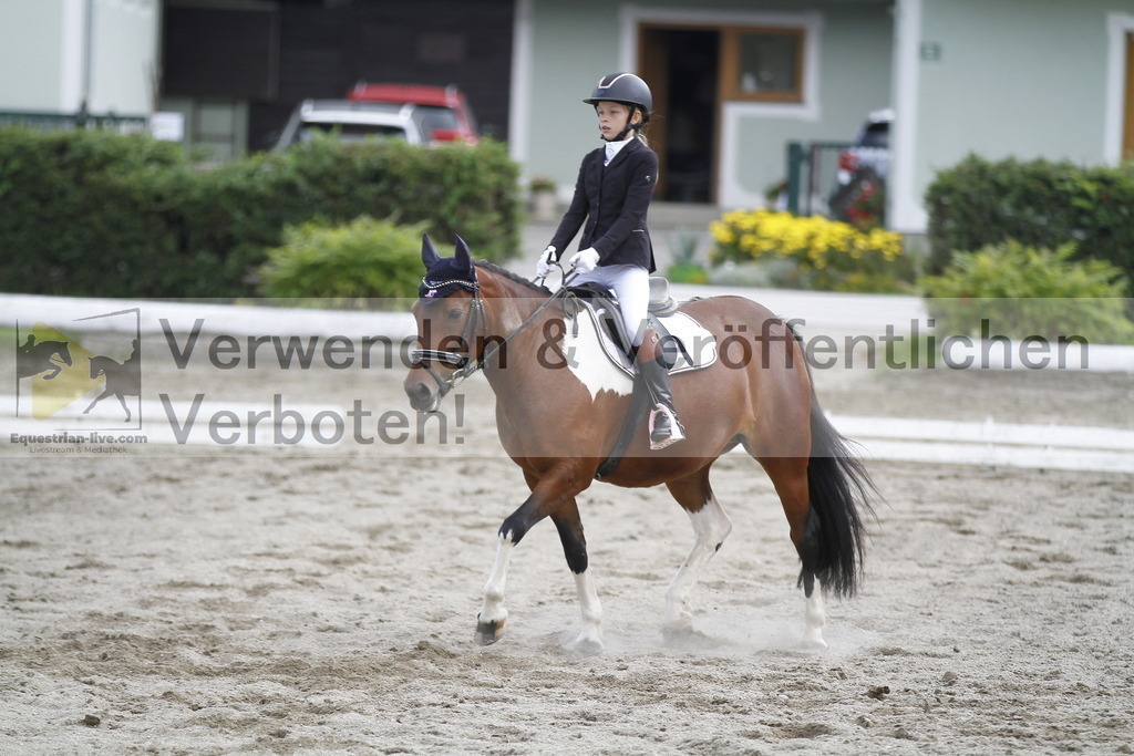 _MG_1136 | equestrian-live-com