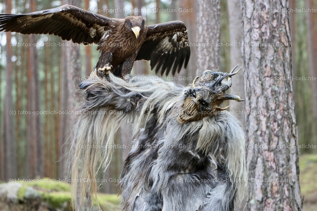 2X5A4358 | fotos-sportlich-belichtet - Realisiert mit Pictrs.com