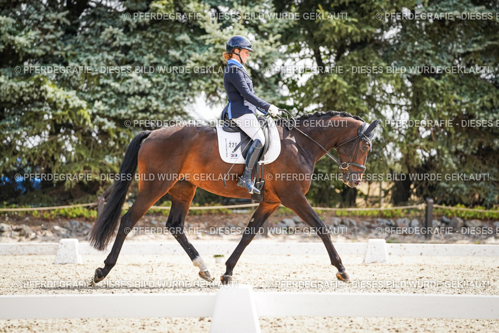 DSC09351 | Pferdegrafie