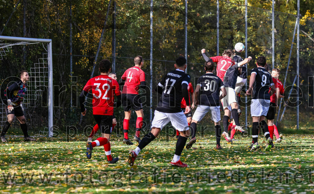 2023-11-05_016_FC_Herzogstadt_gegen_TuS_Oberding | Erding, Deutschland, 05.11.2023:
Fußball, Kreisklasse 2023 / 2024, 14. Spieltag, FC Herzogstadt gegen TuS Oberding, Endergebnis: 4:5

Tobias Götze (TuS Oberding, #32), Christian Werner (TuS Oberding, #4), Attila Lanzendorfen (FC Herzogstadt, #17), Thomas Greckl (FC Herzogstadt, #30), Quirin Sepp (TuS Oberding, #27), Marco Steinberg (FC Herzogstadt, #9)

Foto: Christian Riedel / fotografie-riedel.net