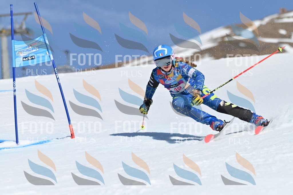 BGV_8517 | holidayphoto