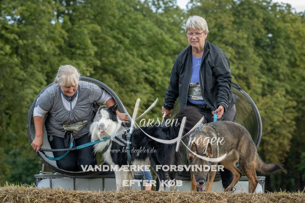 1059_ZZ93531 | kk-dogfotos