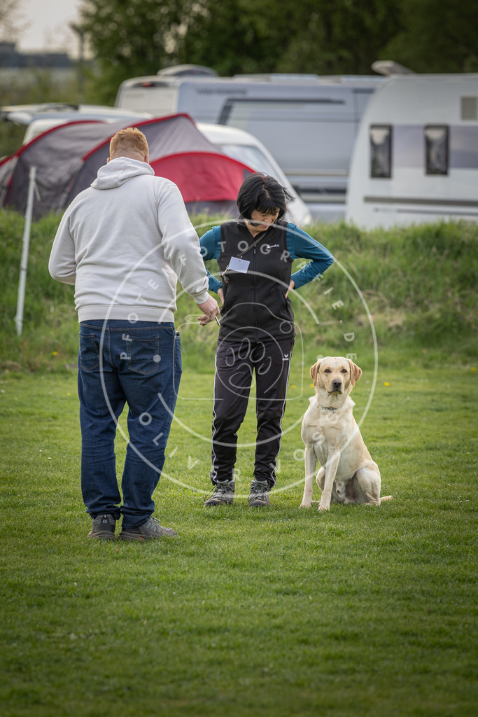 Pfotenfotografie_DV3A4929 | Hundefotografie, Tierfotograf, Pfotenfotografie, Fotoshooting Hund, Hunde Portrait, Hundesport, Hundeportraits, Heideshooting, Hunde, Sportfotograf, Hundefotograf, Turnierhundsport, THS,  - Realisiert mit Pictrs.com