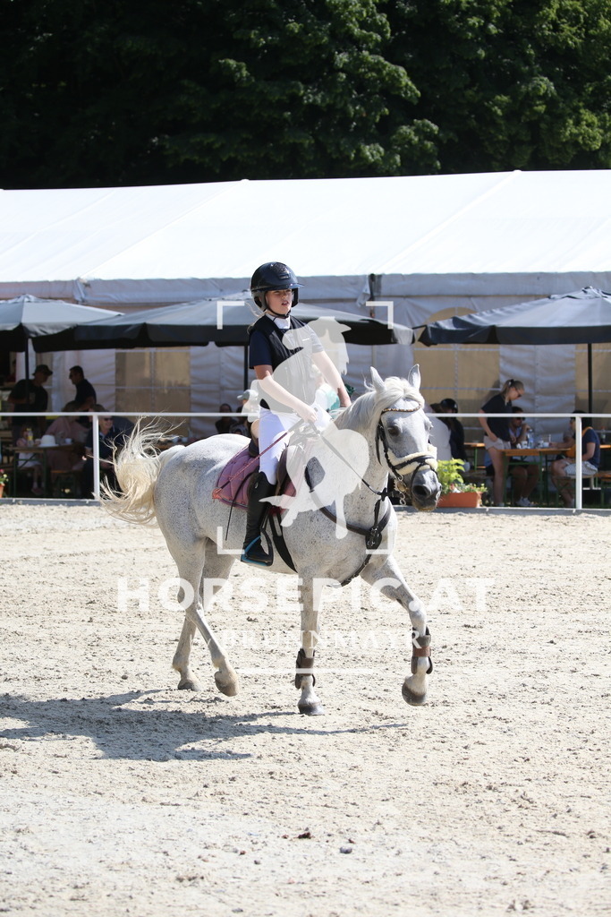 DL2Q1431 | Willkommen bei Brunnmayr - Design & Fotografie – Ihrem Spezialisten für Reitturniere und Pferdeveranstaltungen in Oberösterreich, Salzburg und Bayern! Seit über 17 Jahren sind wir leidenschaftlich dabei.