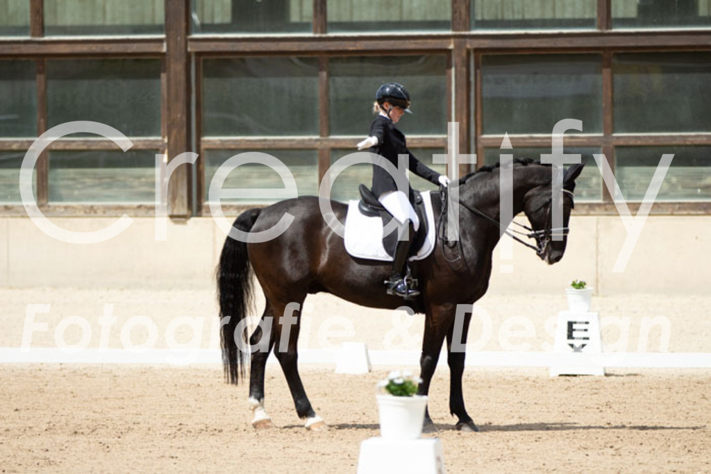 IMG_5848 | Creatify Fotografie