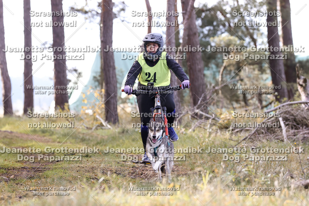 Dog Paparazzi - Elsholz 25 -112 | Dog Paparazzi Jeanette Grottendiek Fotografie & Videografie - Realisiert mit Pictrs.com