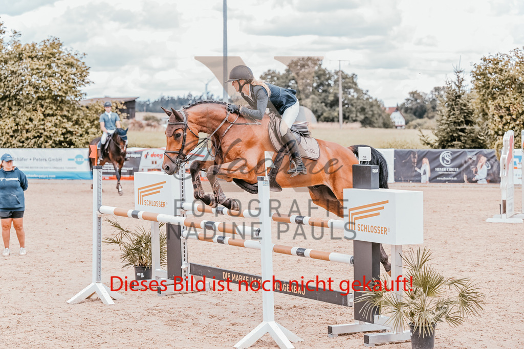 8-S-L-43 | Nadine Pauls Turnierfotografie Lauchheim Ostalbkreis Pferdefotografie Hundefotografie  - Realisiert mit Pictrs.com