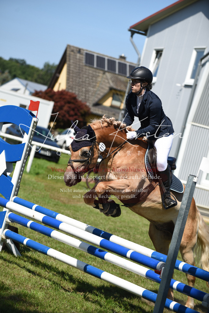 DSC_9505 | Pferde- und Turnierfotografie in Westsachsen. Pferdeportraits, Auftragszeichnungen und intuitive Kunst.