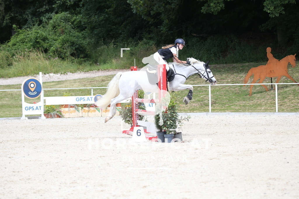 DL2Q1718 | Willkommen bei Brunnmayr - Design & Fotografie – Ihrem Spezialisten für Reitturniere und Pferdeveranstaltungen in Oberösterreich, Salzburg und Bayern! Seit über 17 Jahren sind wir leidenschaftlich dabei.