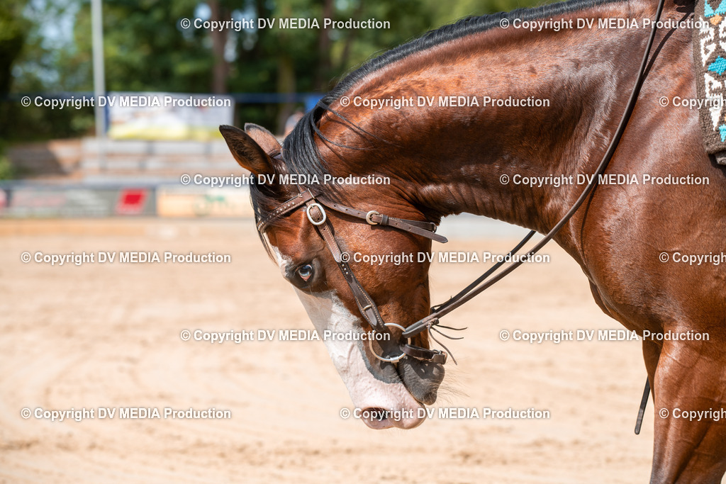 ZS3_9521 | dv-media-shop - Realisiert mit Pictrs.com